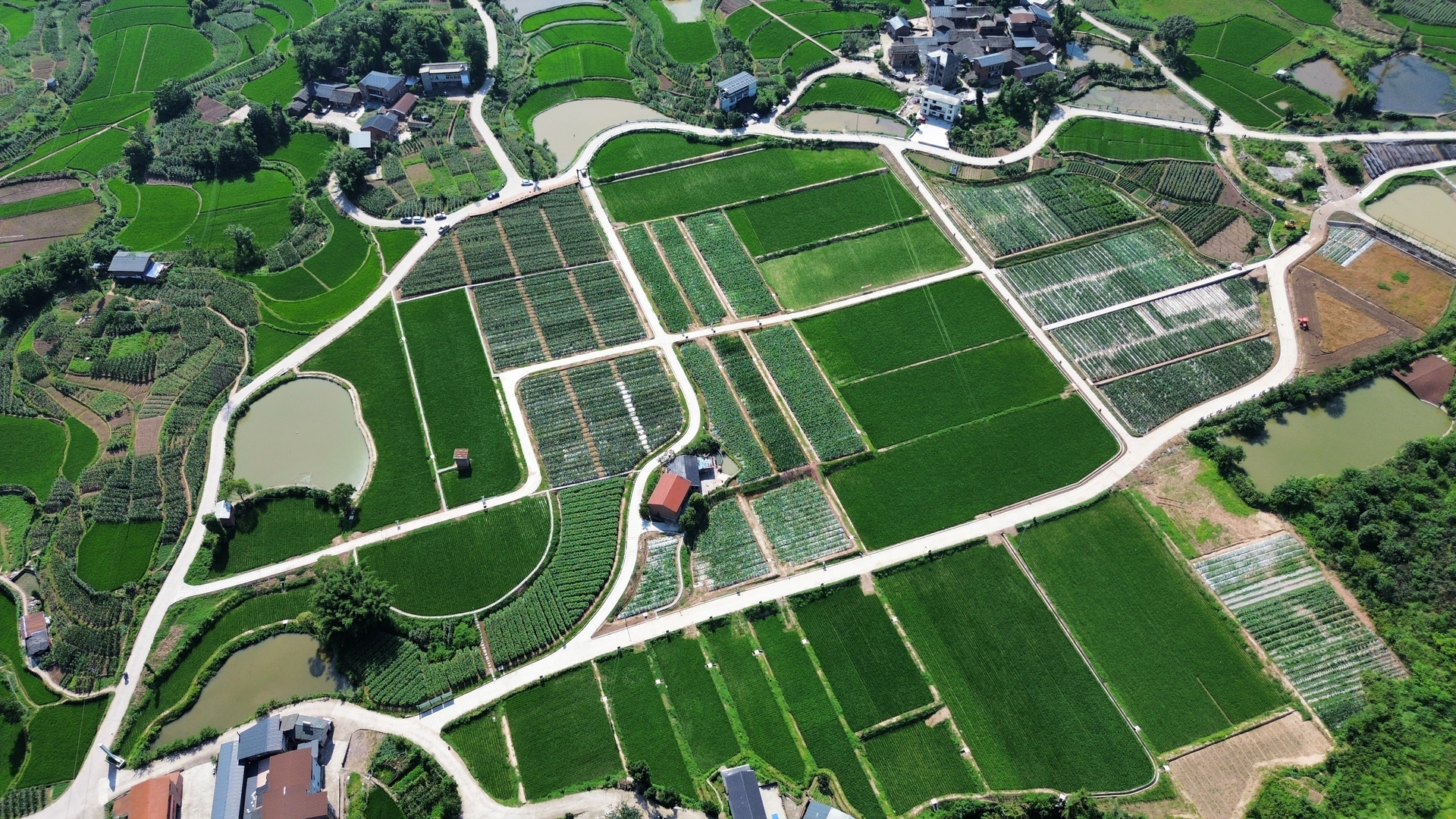 1、卓豪农业科创园（綦江园区）盛磊