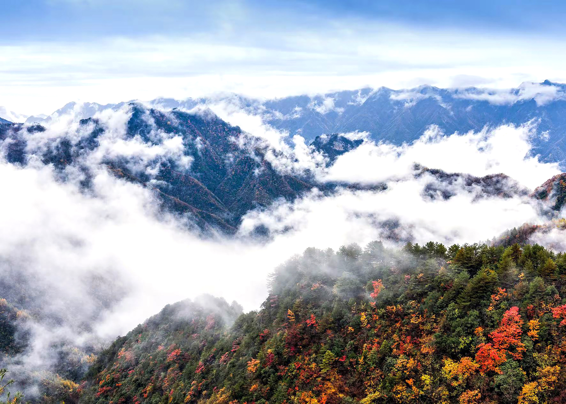 图一城口县北屏乡境内山林间云雾缭绕，宛如仙境！唐小江 摄