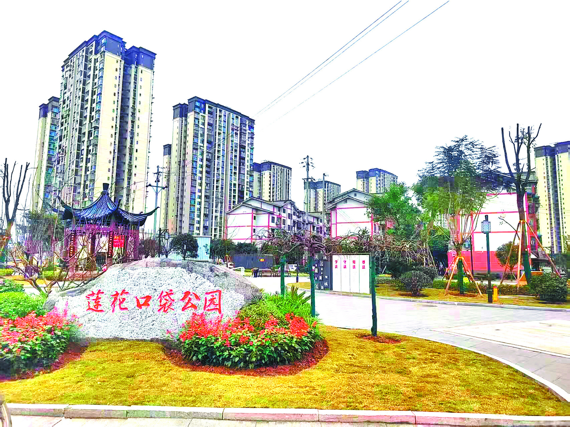 QQ图片20260114192804