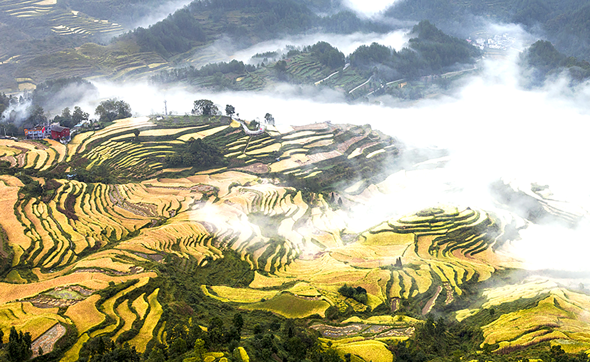 4   花田梯田2