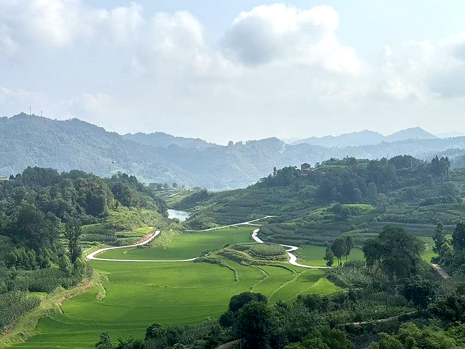 保合镇建成高标准农田1