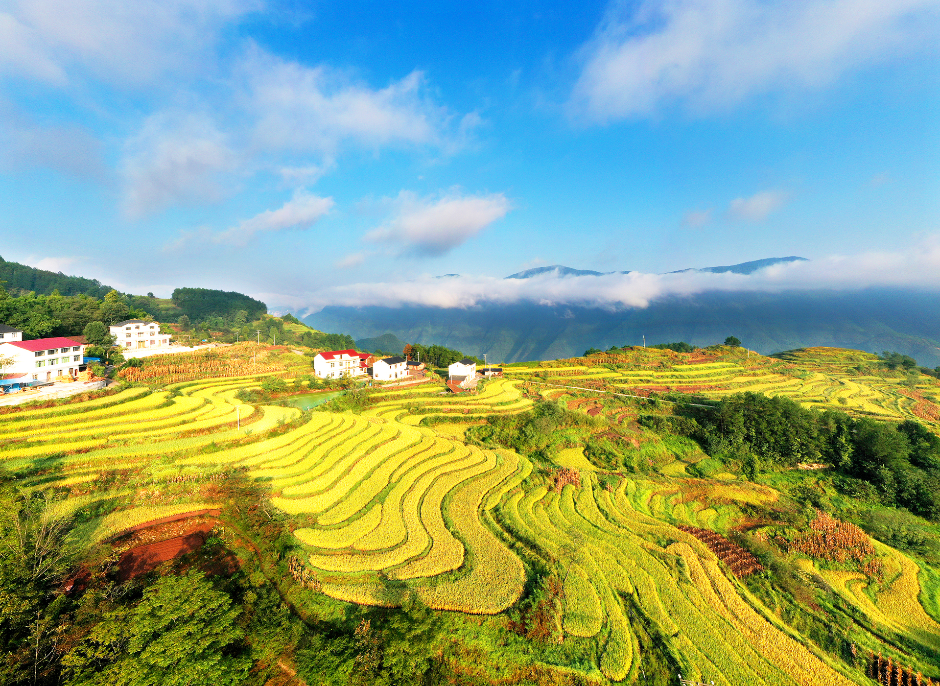夜力坪梯田风光