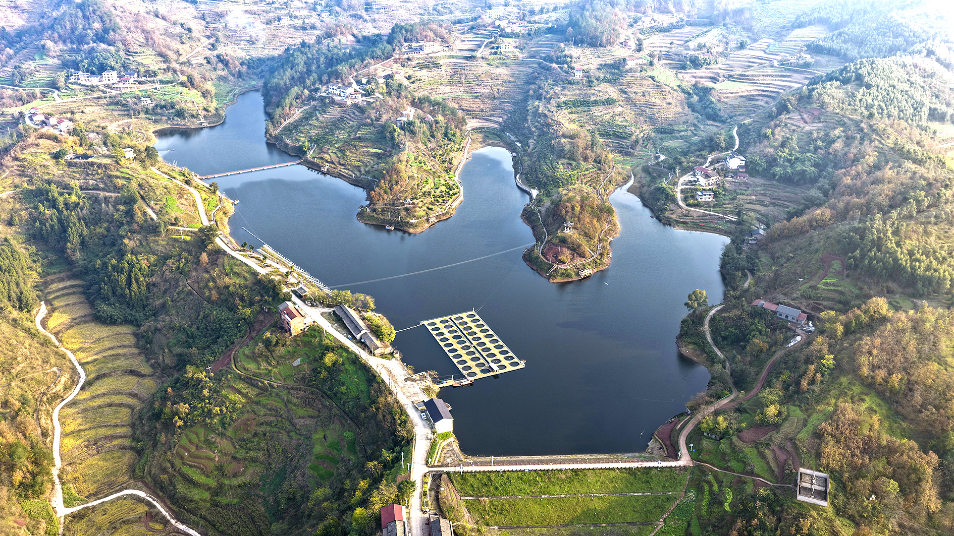 保合镇生态鱼养殖基地