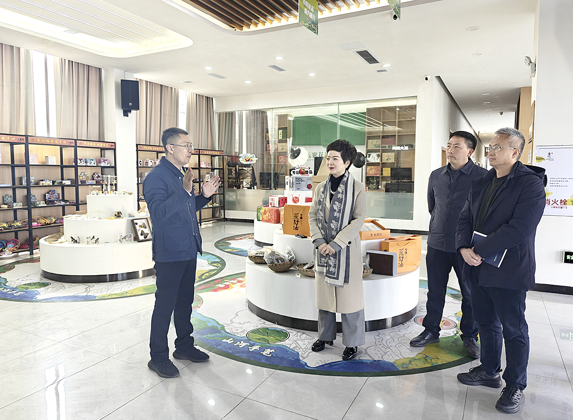 璧山区人大常委会调研镇街人大工作