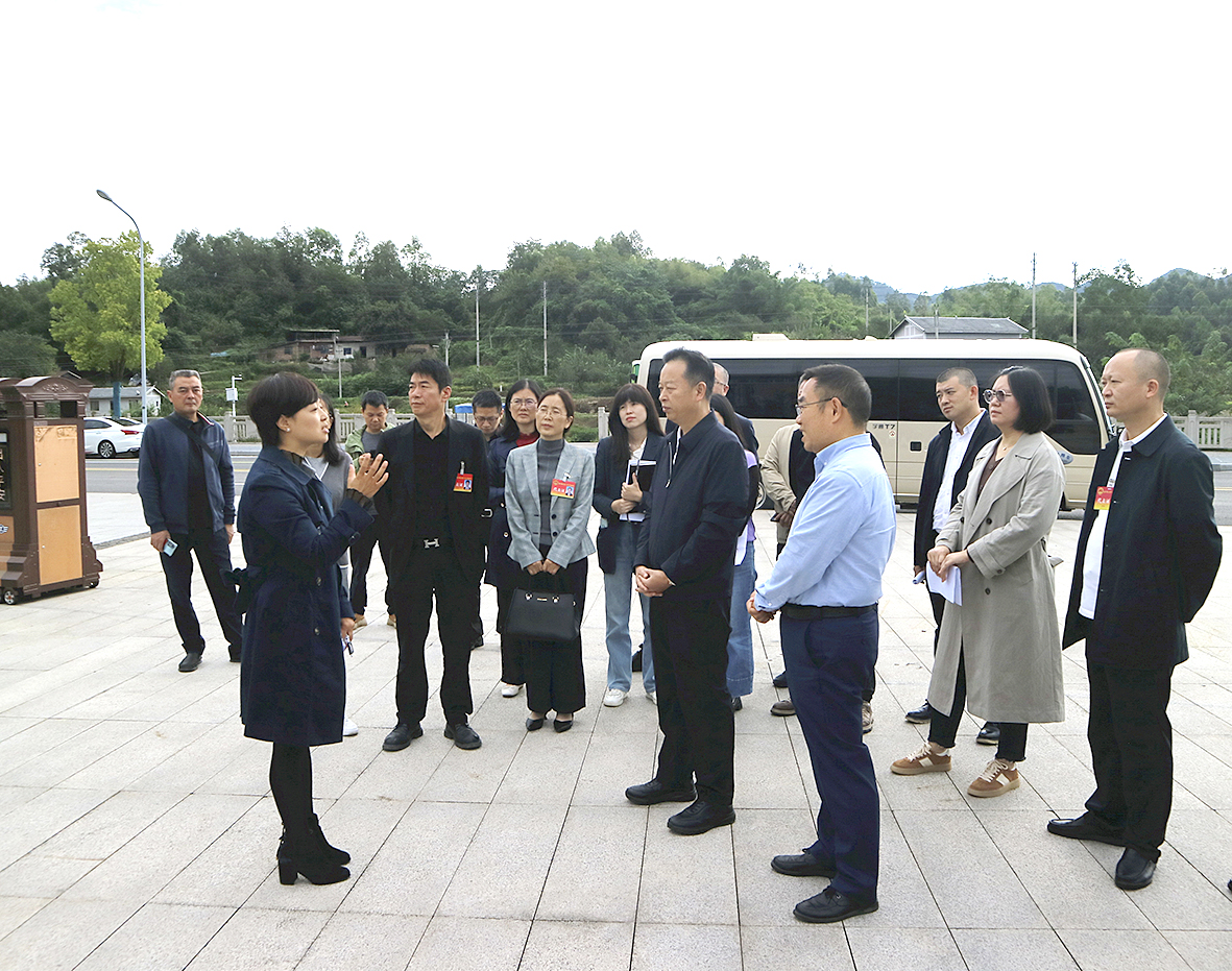 璧山区人大常委会调研全区中医药发展情况