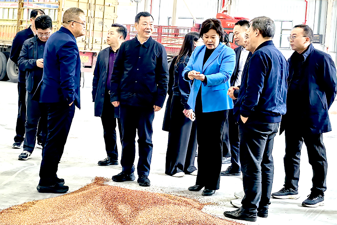 5 荣昌区人大常委会开展“十五五”现代物流体系建设专题调研。